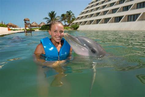 nager avec les dauphins punta cana|Punta Cana : Nagez avec les dauphins dans la piscine